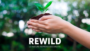 Affiche film Rewild
